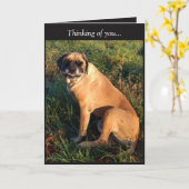 スマイおもしろいリング・イングリッシュ・マスチフ・ドッグ・カード カード (黄色い花)