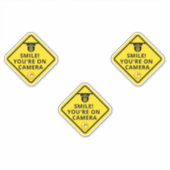 スマイルあなたはカメラのサイン、ビデオ監視S シール (正面)