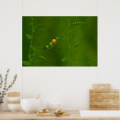 スマイルが存在す生まれる場所（バージョン2009） ポスター (キッチン)