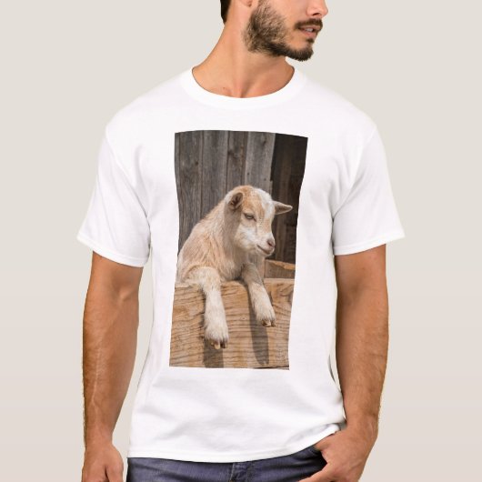 スマイルする赤ちゃんヤギの田舎家風壁画キャンバス Tシャツ (正面)