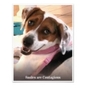 スマイルは笑顔で感染する フォトプリント            (正面)
