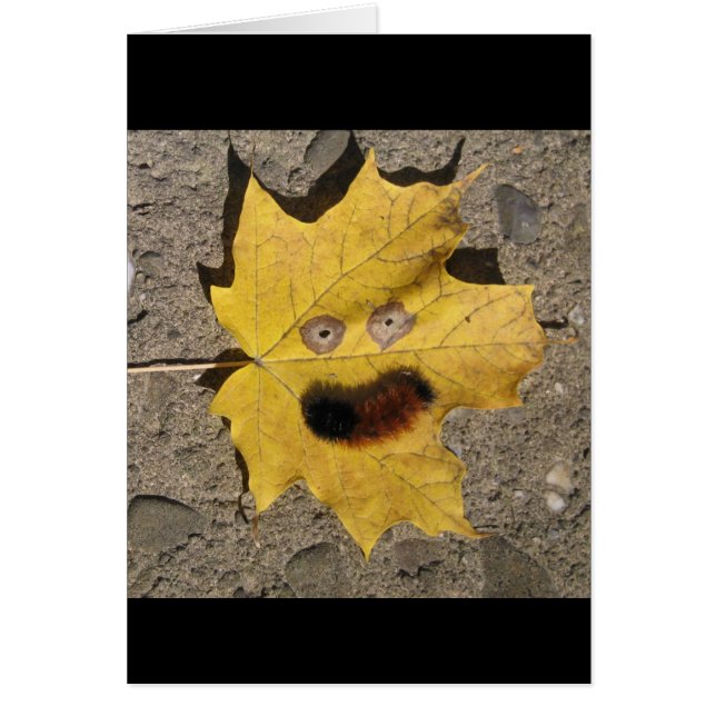 スマイルを与えて下さい (正面)