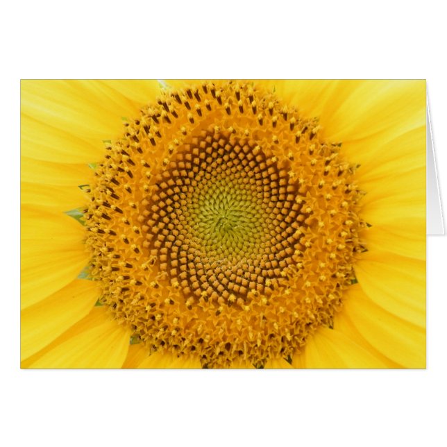 スマイルを送ります (正面横)