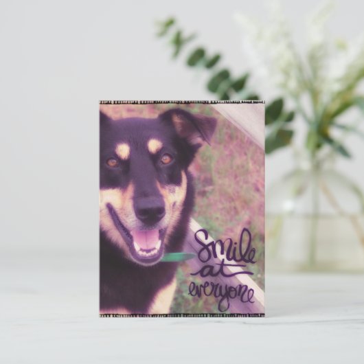 スマイルアットオールエースドッグ ポストカード (スタンド正面)