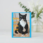 スマイルカード (スタンド正面)