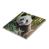 スマイルパンダポートレート タイル (側面)