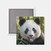 スマイルパンダポートレート マグネット (正面/裏面)