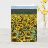 スマイルヒマワリ-勇気付けられるグリーティングカード カード (黄色い花)