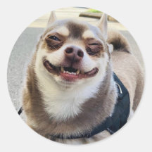 スマイルビッグホイー