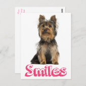 スマイルヨークシャーテリアパピードッグ空白のポストカード ポストカード (正面/裏面)