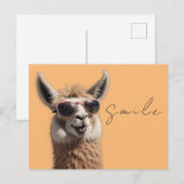 スマイルラマかわいいアルパカとサングラスおもしろい ポストカード (正面/裏面)