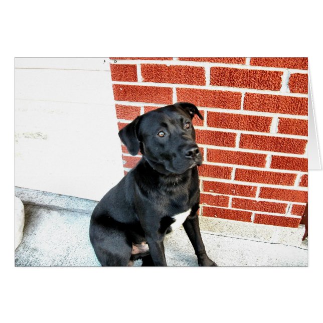 スマイル真夜中！ (正面横)