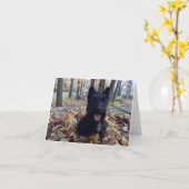 スマイル秋 カード (黄色い花)