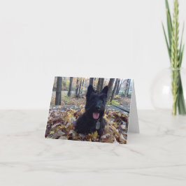 スマイル秋 カード