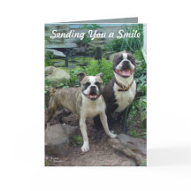 スマイル考えのユー恋しく思カード