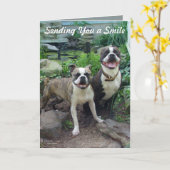 スマイル考えのユー恋しく思カード カード (黄色い花)