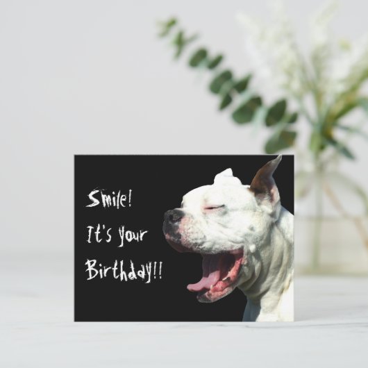 スマイル誕生日のホワイトボクサーの犬はがき ポストカード (スタンド正面)