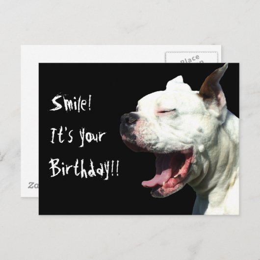 スマイル誕生日のホワイトボクサーの犬はがき ポストカード (正面/裏面)