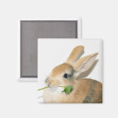 スマイル食べ時 マグネット (正面/裏面)