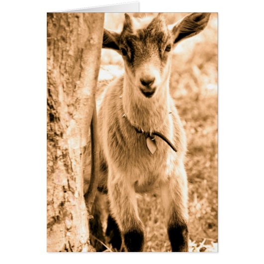 スマイル (正面)