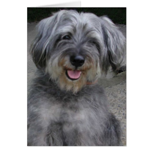 スマイル! (正面)