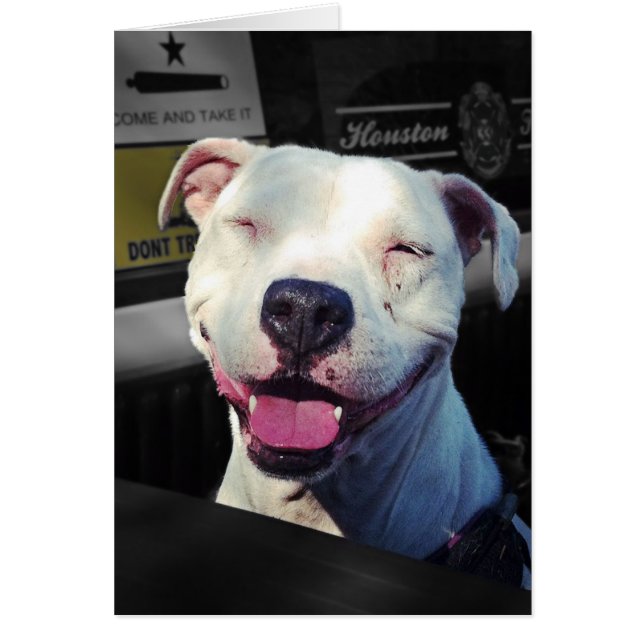 スマイル (正面)