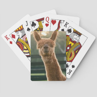 スマイル·アルパ遊カのカード トランプ