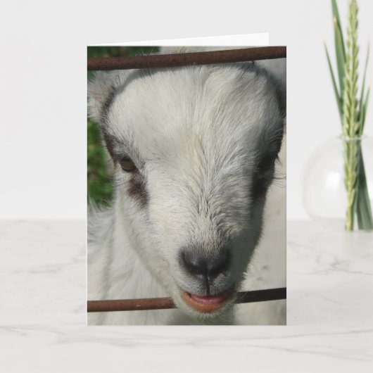 スマイル カード (正面)