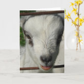 スマイル カード (黄色い花)