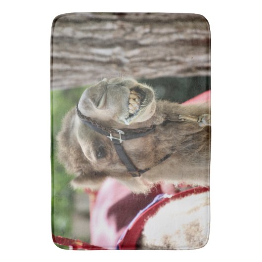 スマイル バスマット (正面縦)