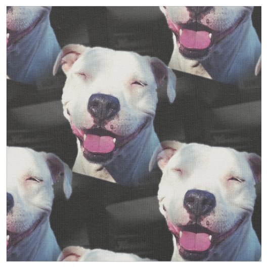 スマイル ファブリック (クローズアップ)