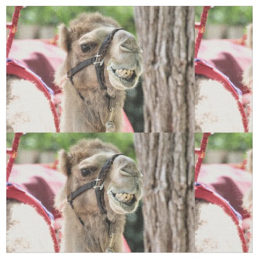 スマイル ファブリック (クローズアップ)