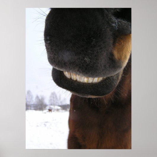 スマイル ポスター (正面)