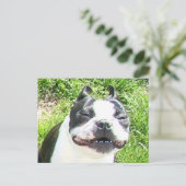 スマイル ポストカード (スタンド正面)