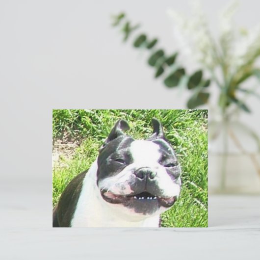 スマイル ポストカード (スタンド正面)