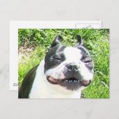 スマイル ポストカード (正面/裏面)