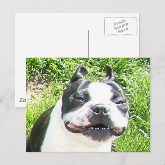 スマイル ポストカード (正面/裏面)