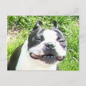 スマイル ポストカード (正面)