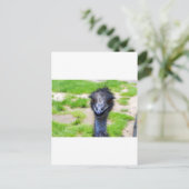 スマイル ポストカード (スタンド正面)