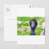 スマイル ポストカード (正面/裏面)