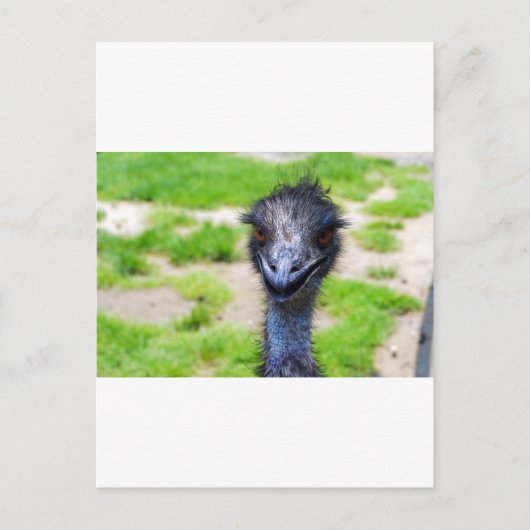 スマイル ポストカード (正面)