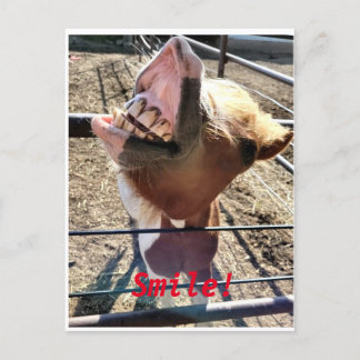 スマイル!! ポストカード