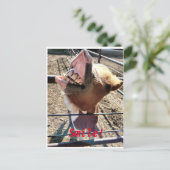 スマイル!! ポストカード (スタンド正面)