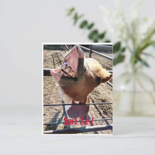 スマイル!! ポストカード (スタンド正面)