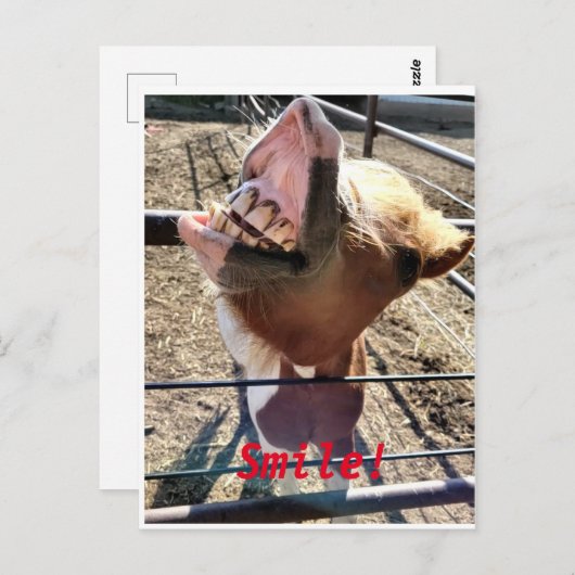 スマイル!! ポストカード (正面/裏面)