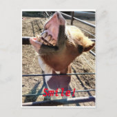 スマイル!! ポストカード (正面)