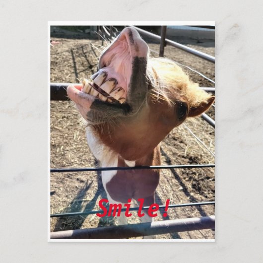スマイル!! ポストカード (正面)