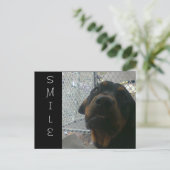 スマイル ポストカード (スタンド正面)