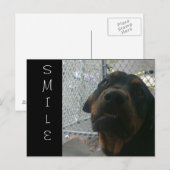 スマイル ポストカード (正面/裏面)
