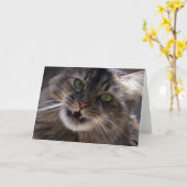 スマイル、メインのあらいぐまの挨拶状(ブランク) カード (黄色い花)